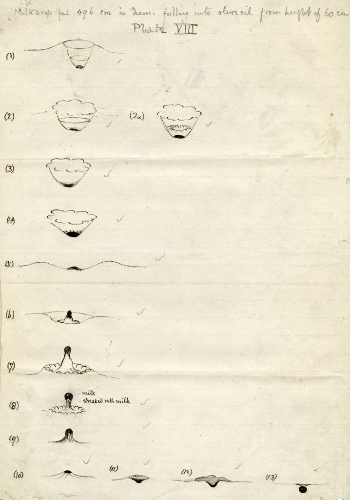 Detail of Impact on a liquid by Arthur Mason Worthington
