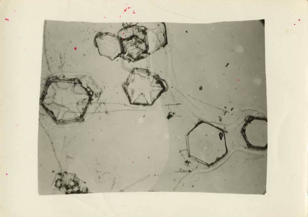 Detail of Snow crystals by Unknown