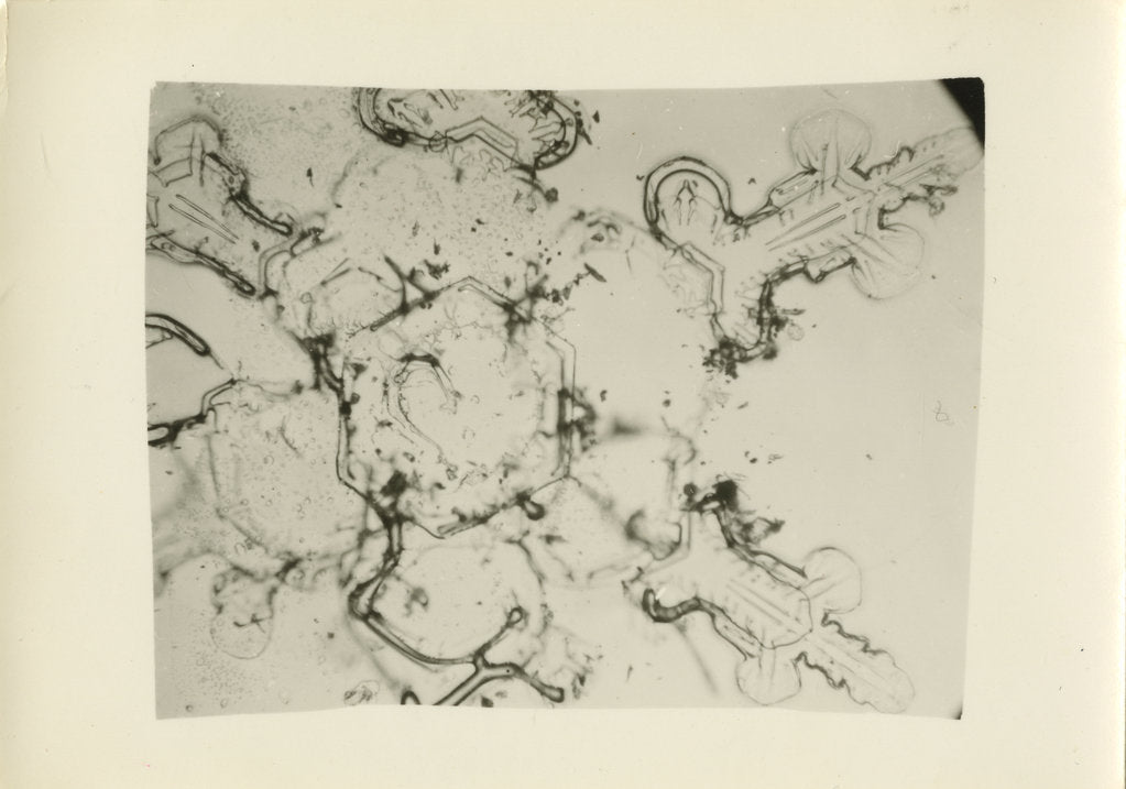 Detail of Snow crystal by Unknown