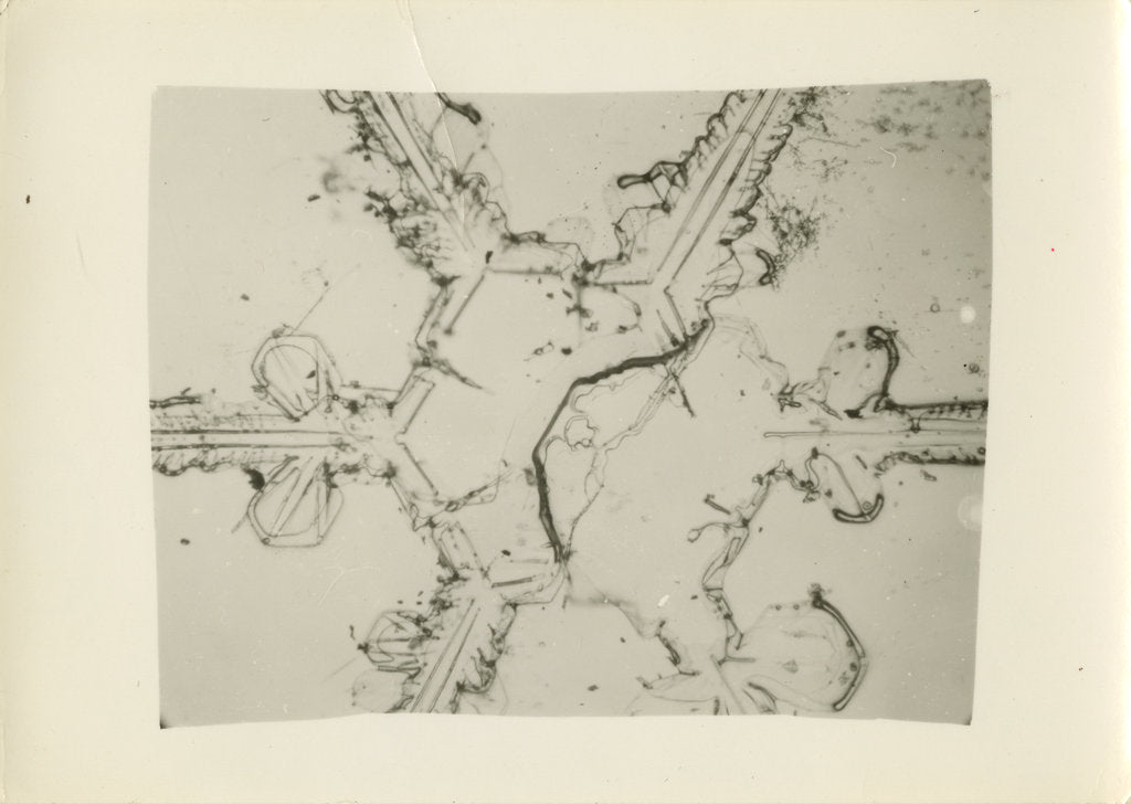 Detail of Snow crystal by Unknown