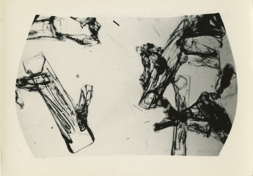 Detail of Snow crystal by Unknown