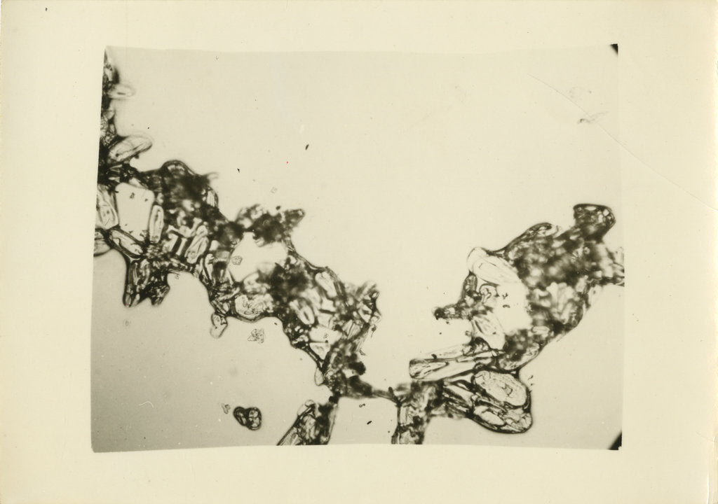 Detail of Snow crystal by Unknown