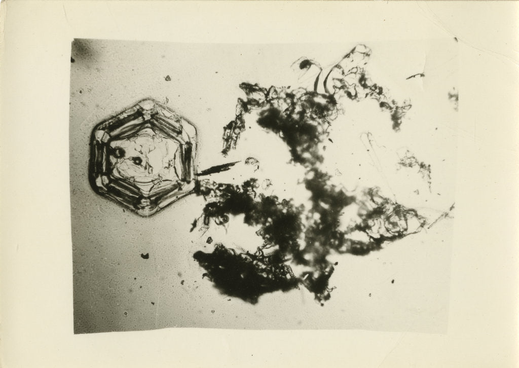 Detail of Snow crystal by Unknown