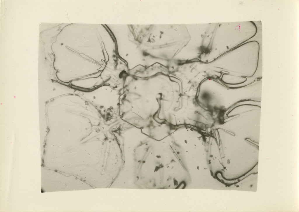 Detail of Snow crystal by Unknown