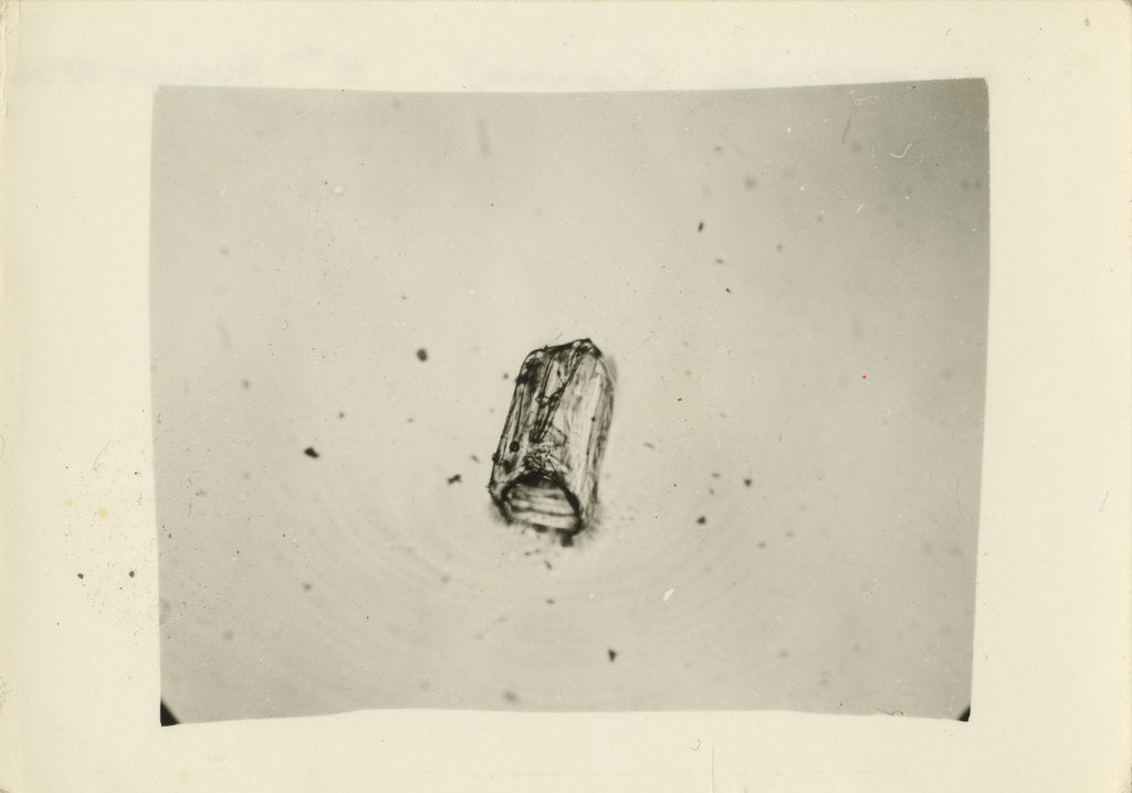 Detail of Snow crystal by Unknown