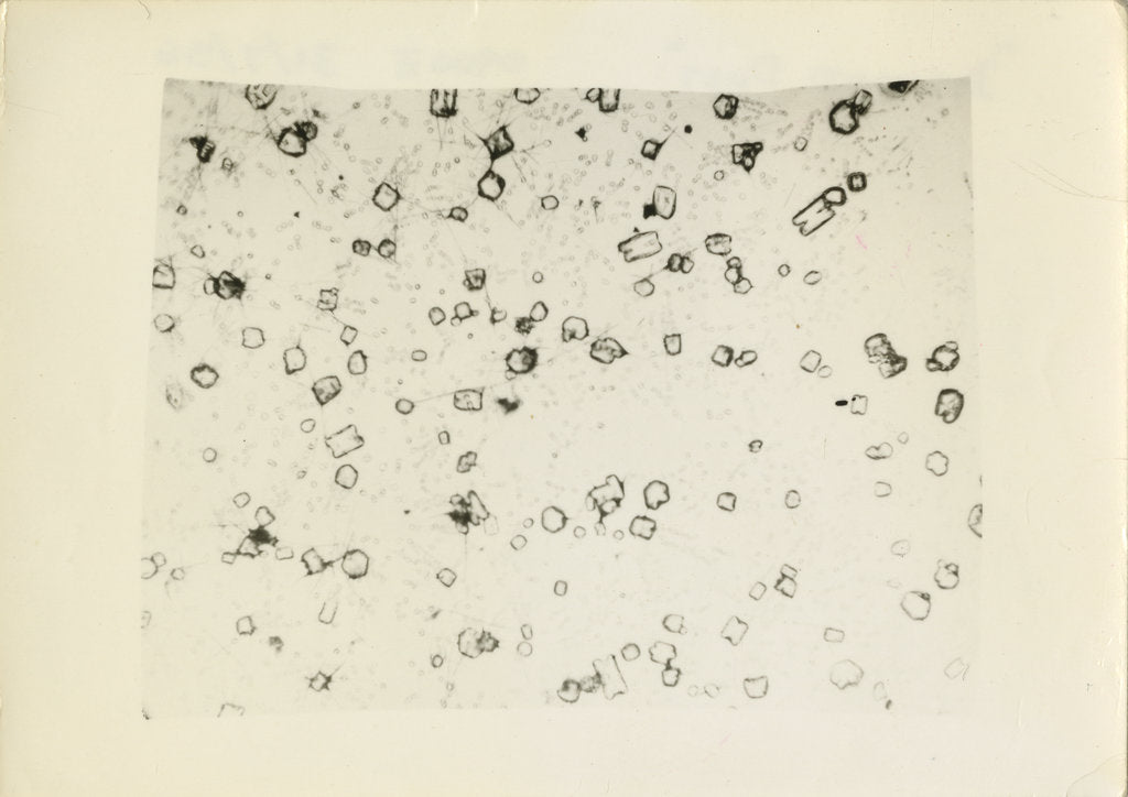 Detail of ‘Diamond dust’ by Unknown