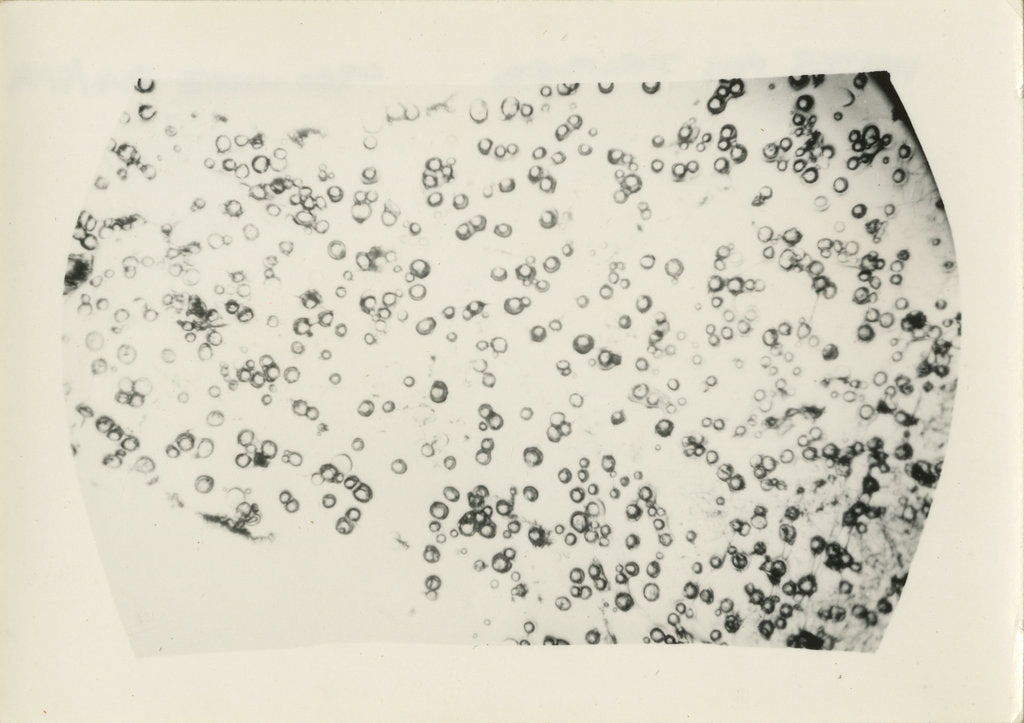 Detail of ‘Water fog droplets’ by Unknown