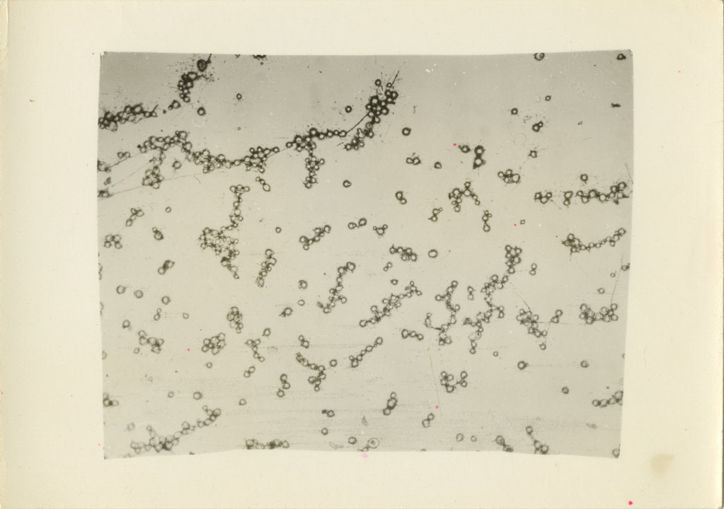 Detail of ‘Water fog droplets’ by Unknown