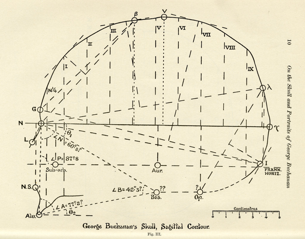 Detail of Measurements of George Buchanan’s skull by Unknown