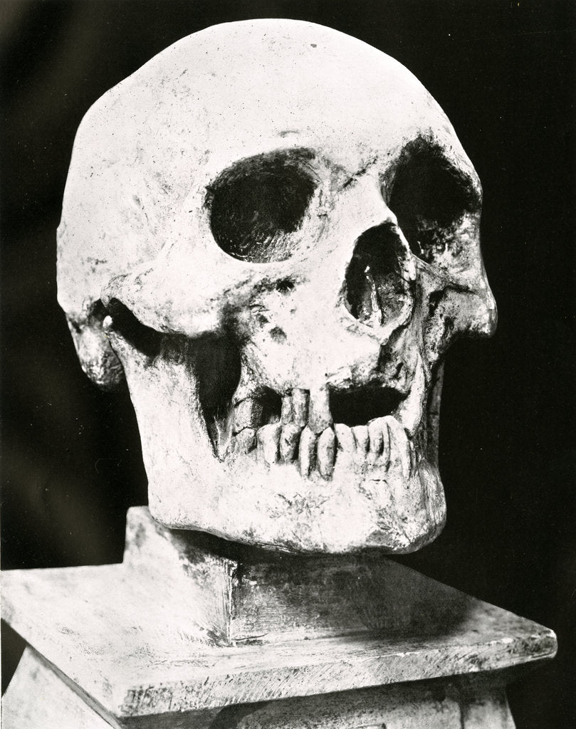 Robert the Bruce’s skull by Unknown