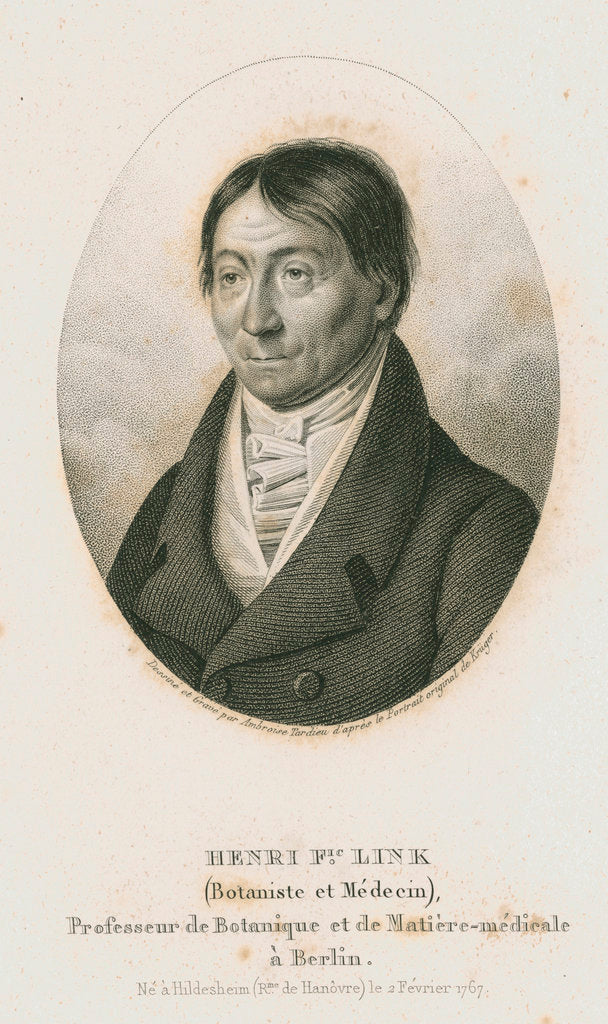 Detail of Portrait of Johann Heinrich Friedrich Link (1767-1851) by Ambroise Tardieu