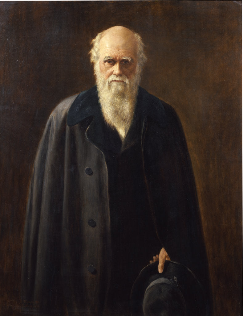 Portrait of Charles Darwin (1809-1882) by Mabel Messer