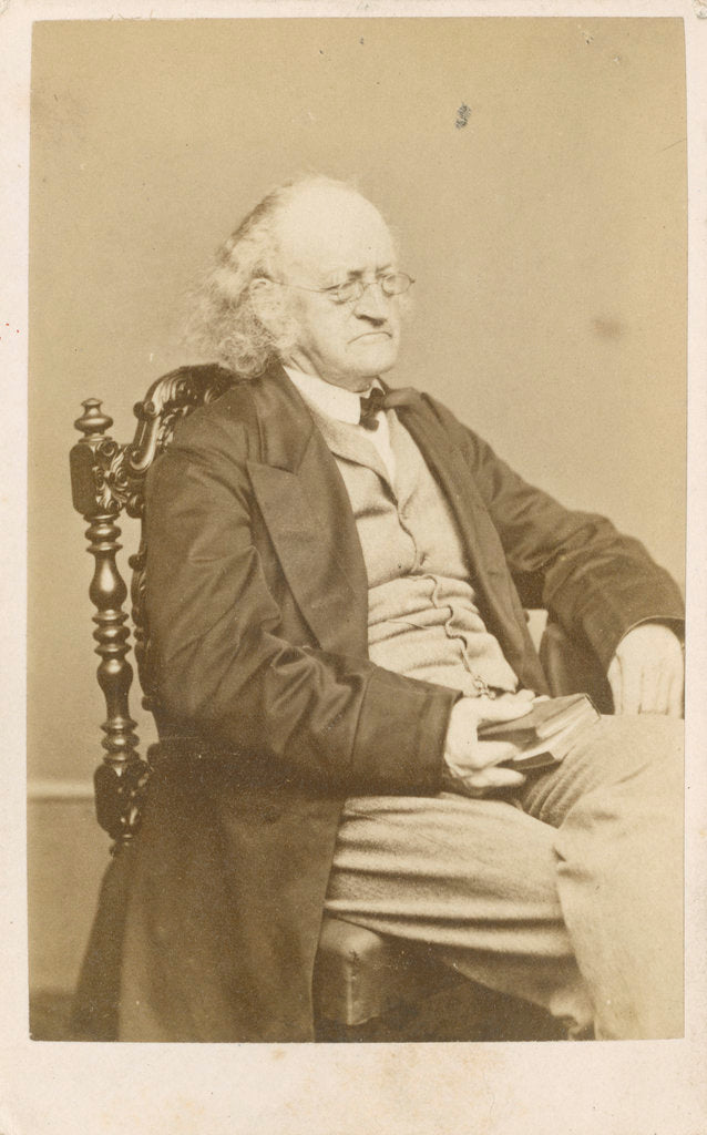 Detail of Portrait of John Bowring (1792-1872) by Henry Joseph Whitlock