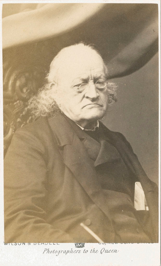 Detail of Portrait of John Bowring (1792-1872) by Wilson & Beadell