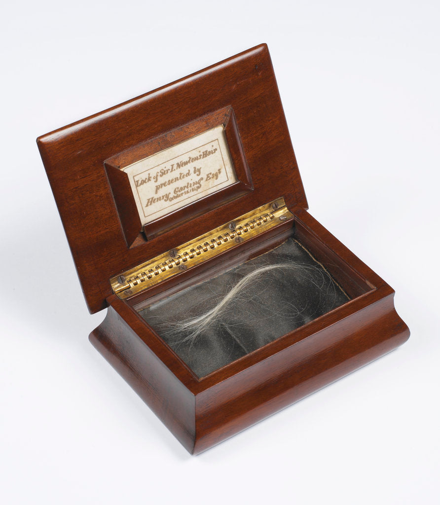Detail of Lock of Newton's hair by Anonymous