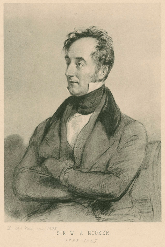 Detail of Portrait of William Jackson Hooker (1785-1865) by Anonymous