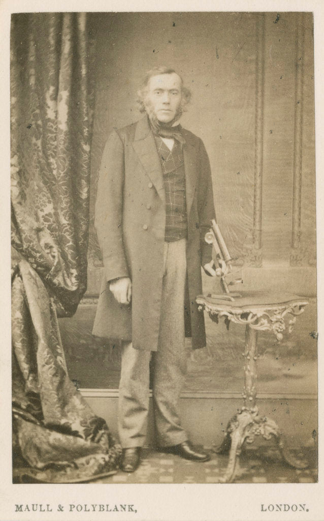 Detail of Portrait of George James Allman (1812-1898) by Maull & Polyblank