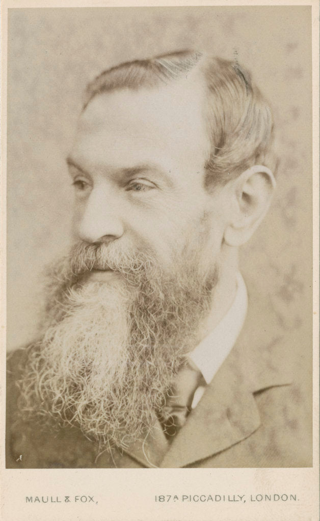Detail of Portrait of John Attfield (1835-1911) by Maull & Fox