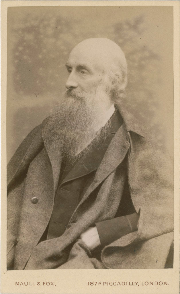 Detail of Portrait of John Beddoe (1826-1911) by Maull & Fox