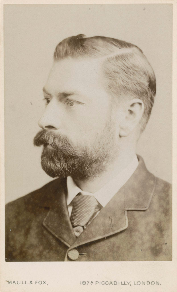 Detail of Portrait of Frederick Orpen Bower (1855-1948) by Maull & Fox