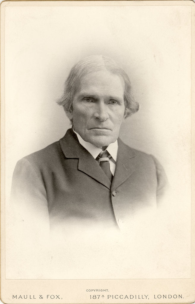 Detail of Portrait of John Scott Burdon-Sanderson (1828-1905) by Maull & Fox