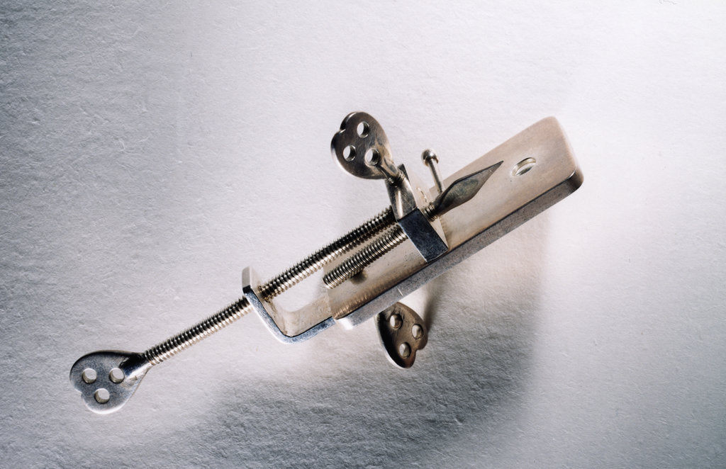 Detail of Leeuwenhoek's microscope by Antoni van Leeuwenhoek