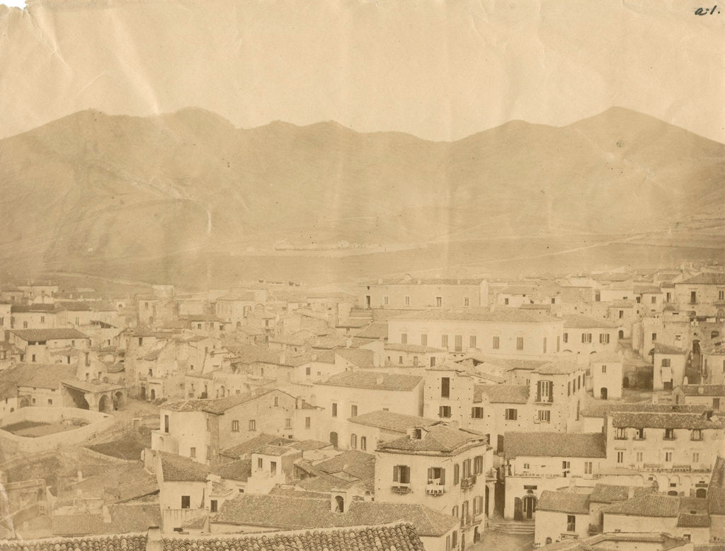 Detail of 'Vulture' [earthquake damage] by Alphonse Bernoud Grellier