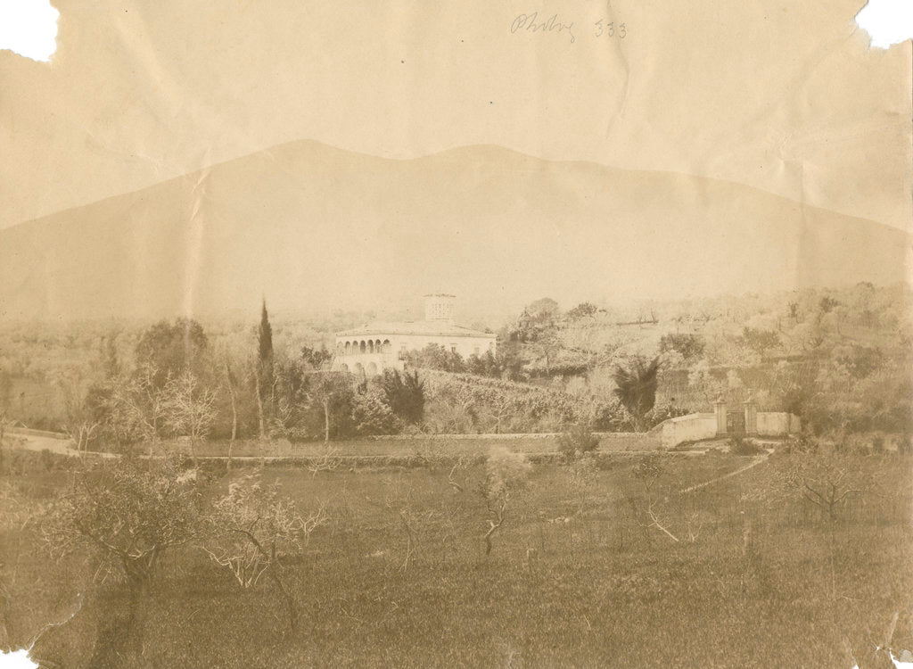 Detail of 'Vulture from Melfi' by Alphonse Bernoud Grellier