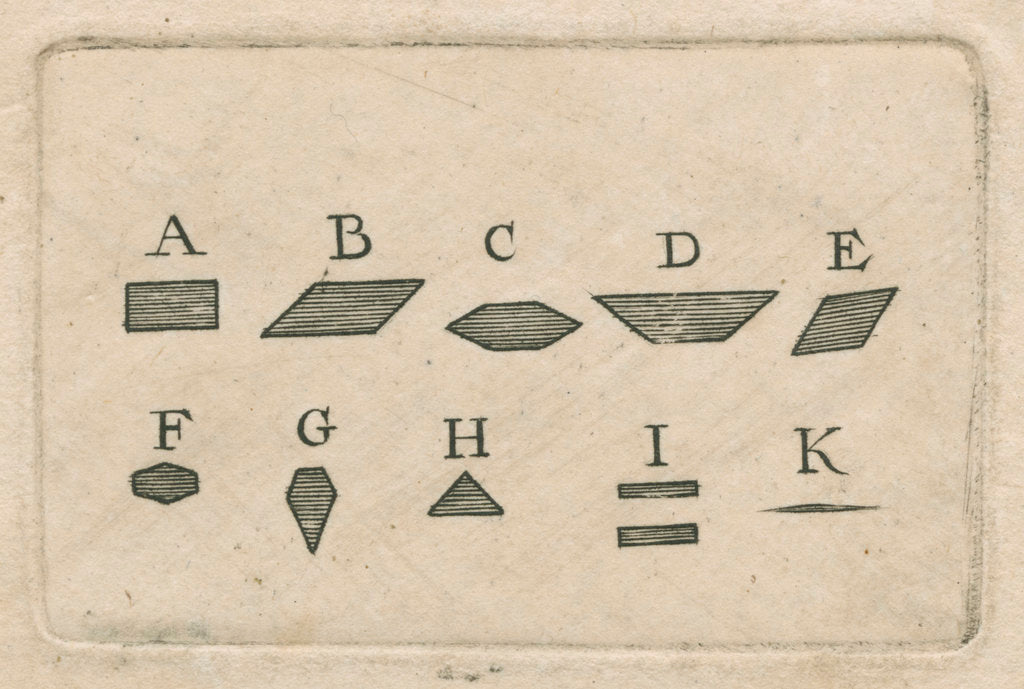 Detail of Microscopical observations of the structure of animal teeth by Anonymous