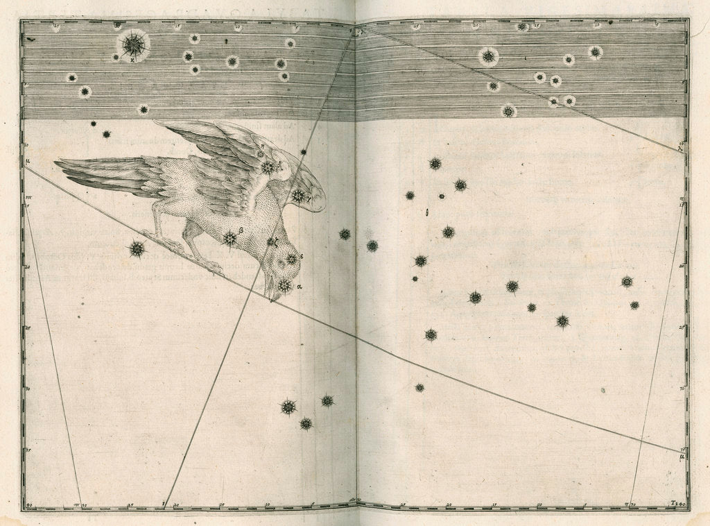 Detail of Constellation of Corvus by Alexander Mair