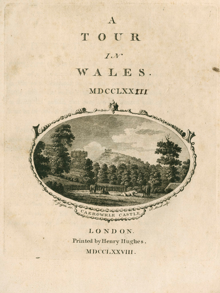 Detail of Caergwrle Castle, Flintshire by Anonymous