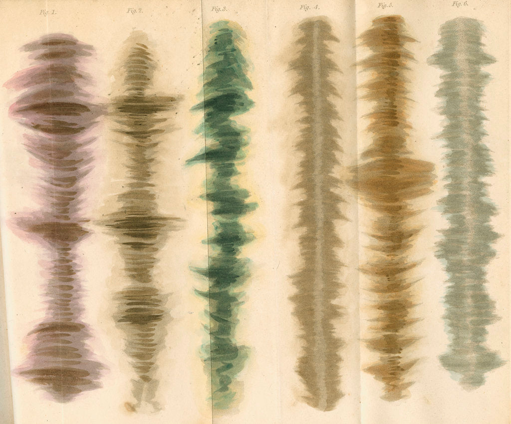 Detail of Metallic oxide tints by Anonymous