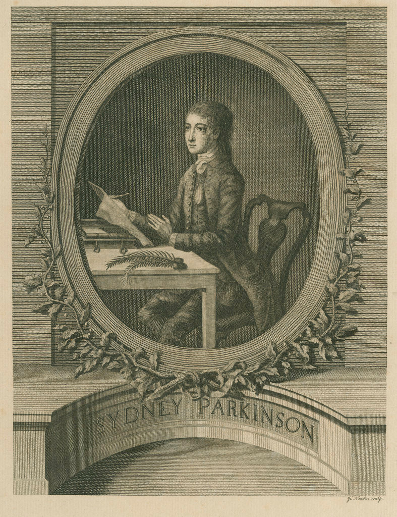 Detail of Portrait of Sydney Parkinson (1740-1771) by James Newton