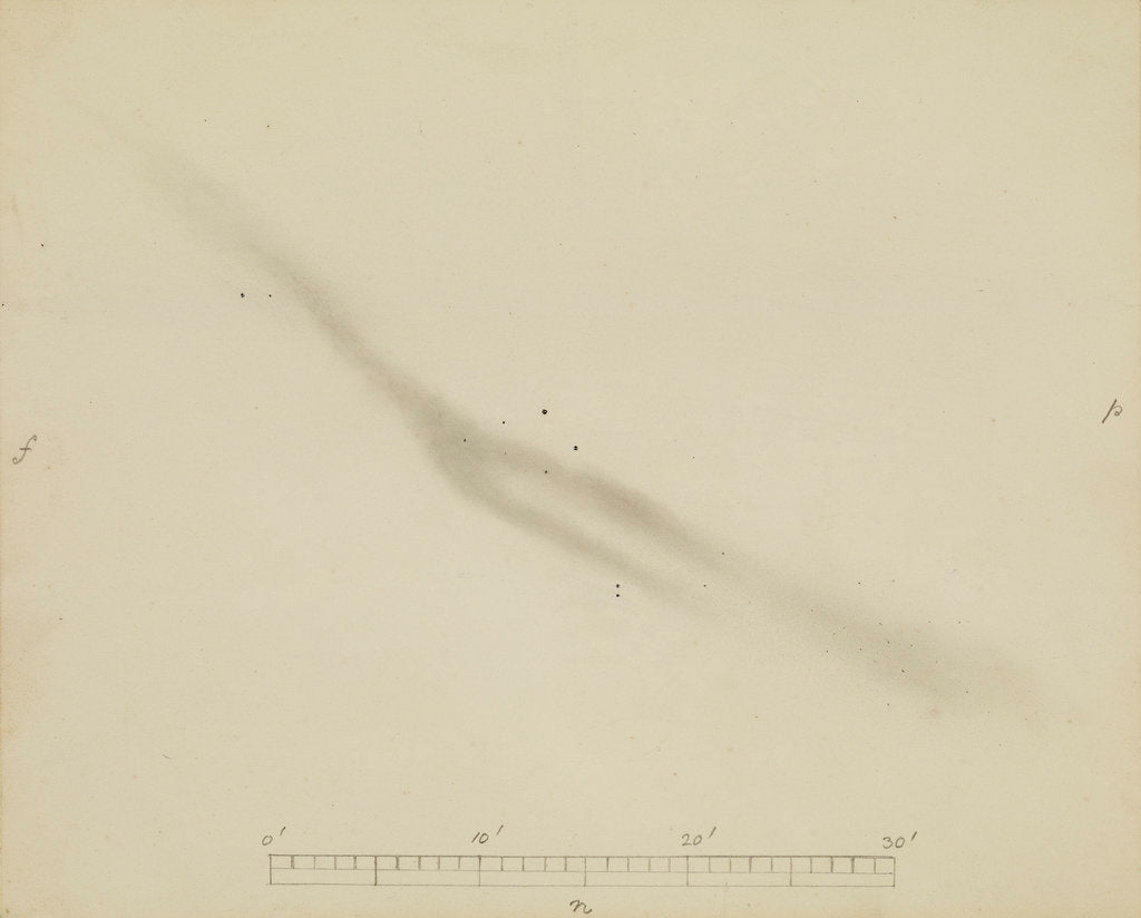 Detail of V.14 Veil Nebula in Cygnus by John Frederick William Herschel