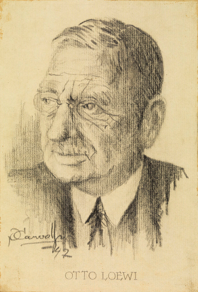 Detail of Portrait of Otto Loewi (1873-1961) by P Carvalho