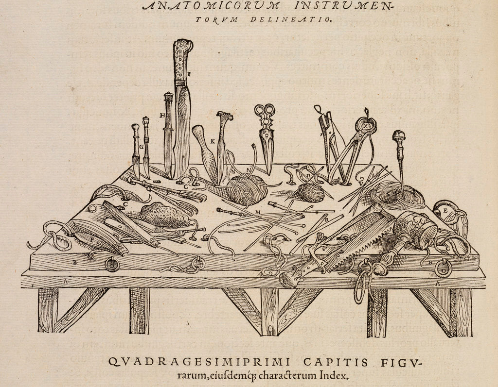 Detail of Anatomicorum instrumentorum delineatio by Studio of Titian