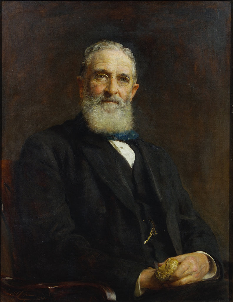 Detail of Portrait of John Evans (1823-1908) by Arthur Stockdale Cope