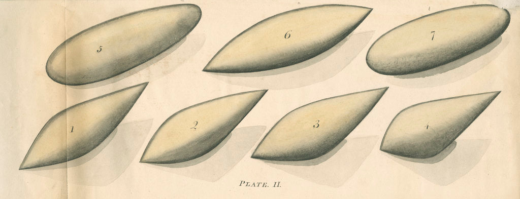 Detail of Studies of hydrodynamic shapes by Mark Beaufoy