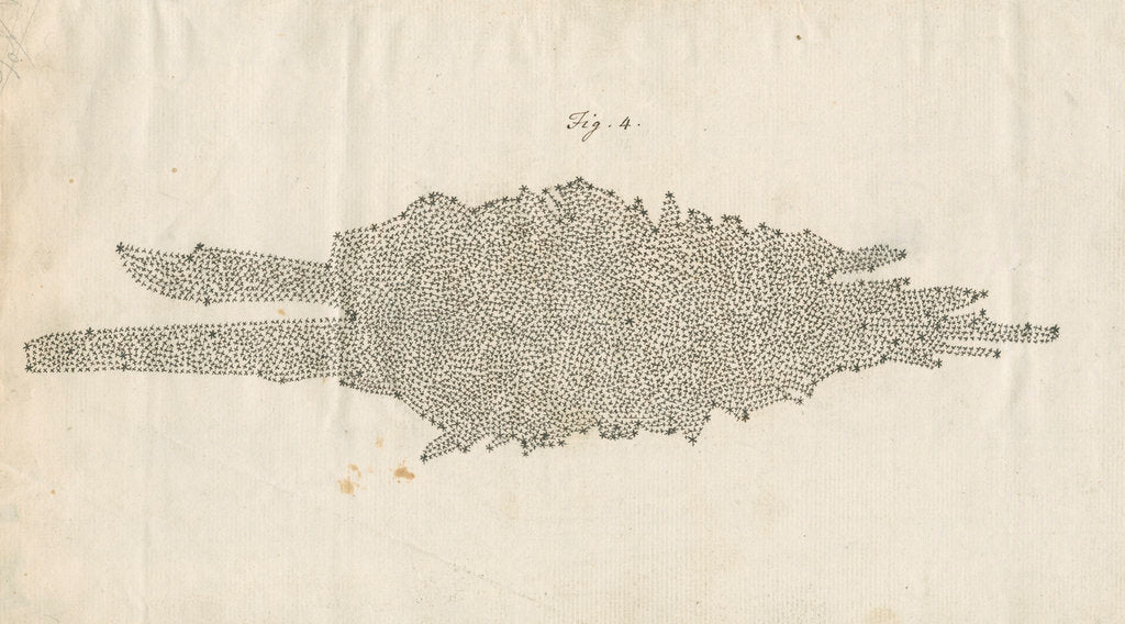 Detail of Structure of the Milky Way galaxy by William Herschel