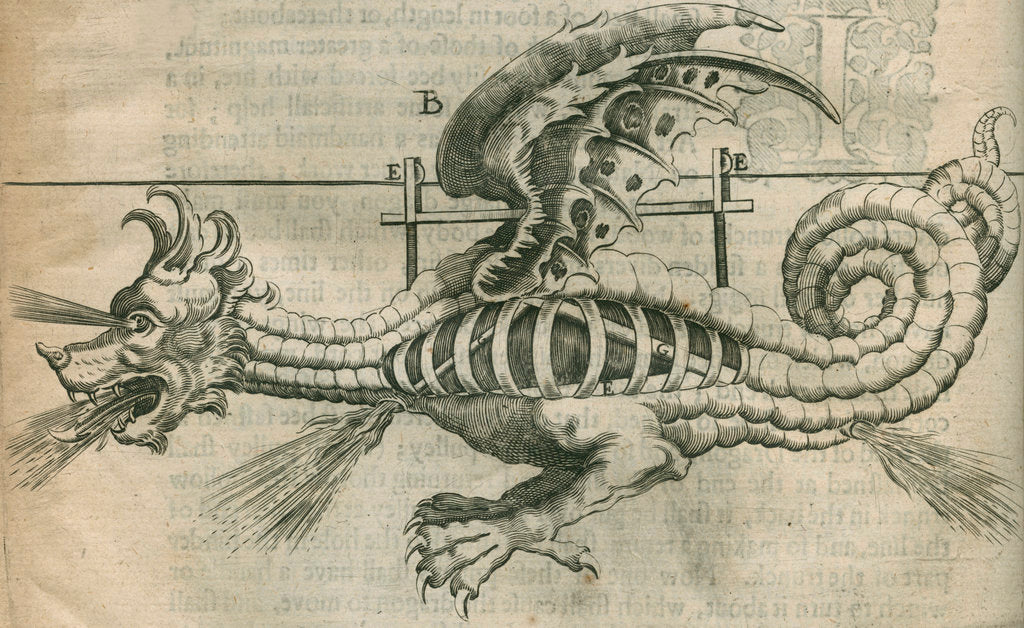 Detail of Dragon firework display by Anonymous