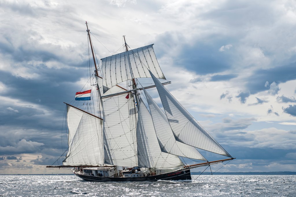 Detail of Schooner Wylde Swan by Richard Sibley