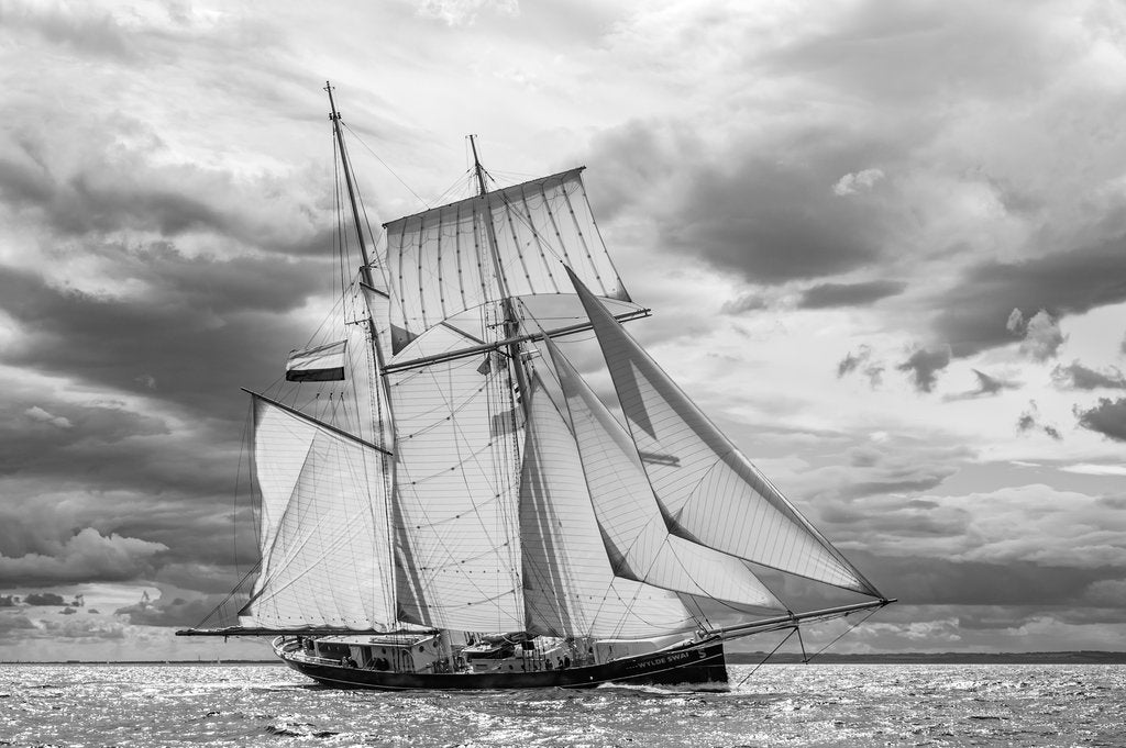 Detail of Schooner Wylde Swan by Richard Sibley