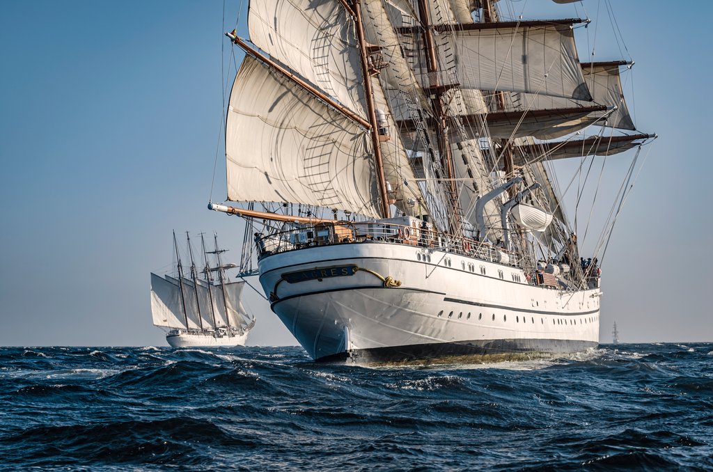 Detail of NRP Sagres by Richard Sibley