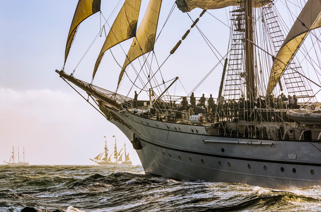 Detail of NRP Sagres by Richard Sibley