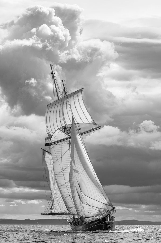 Detail of Schooner Wylde Swan by Richard Sibley