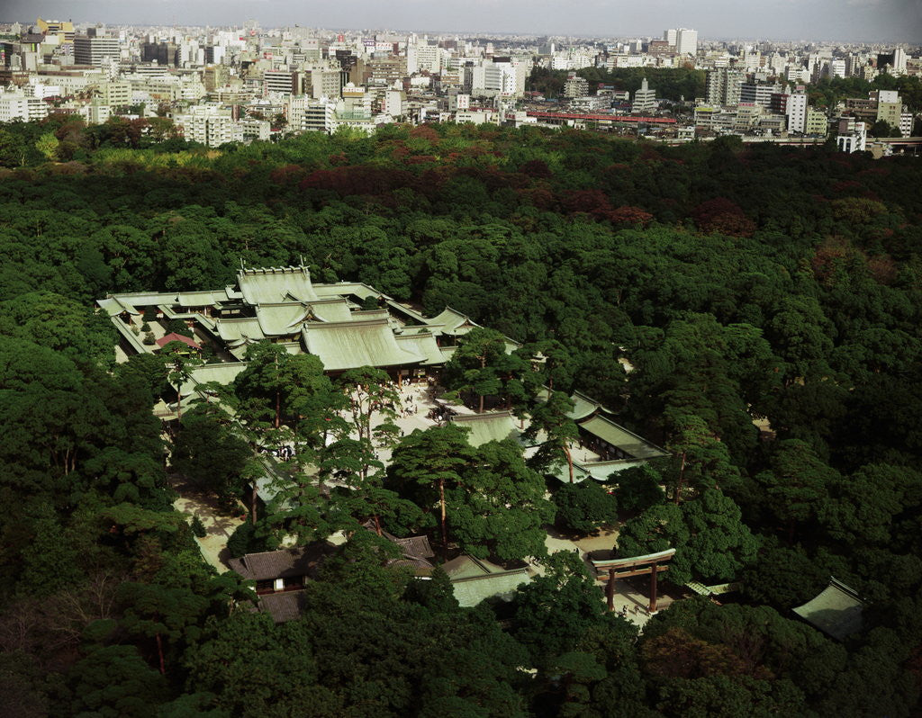 Detail of Meiji Shrine by Anonymous