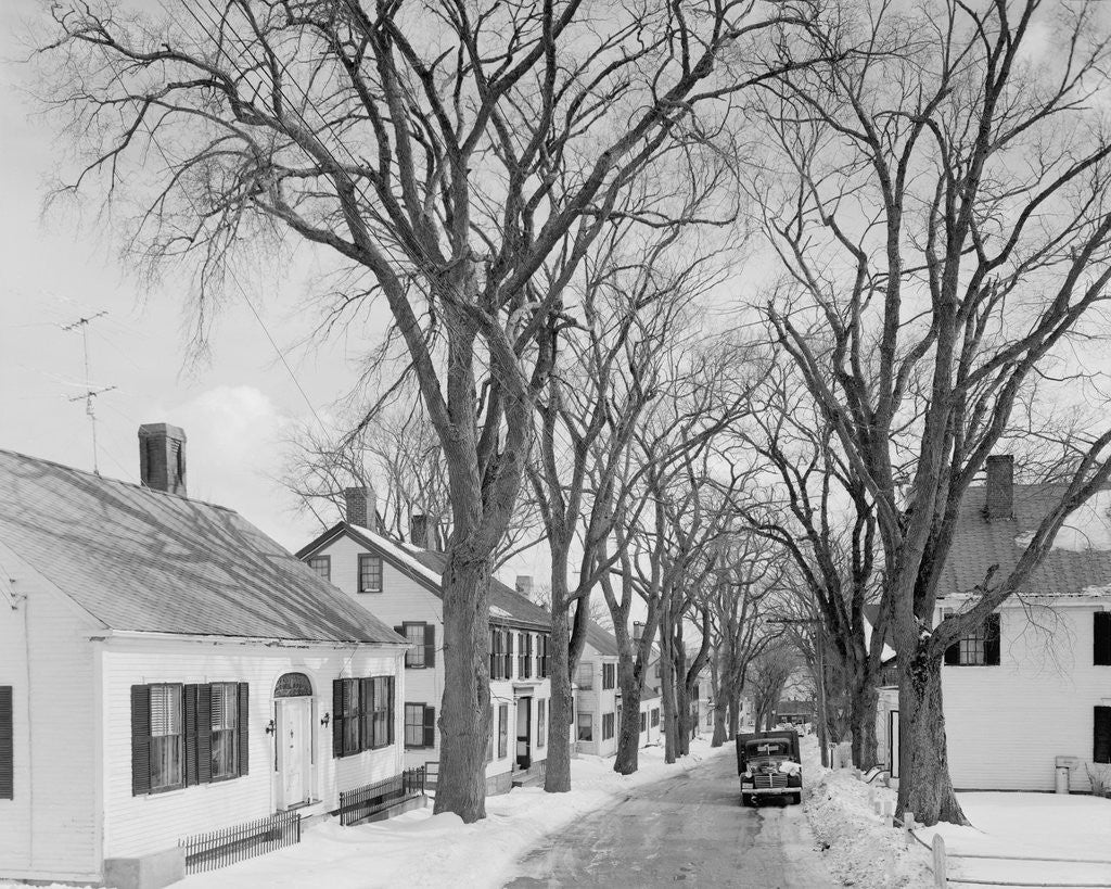 Detail of Neighborhood near Passamaquoddy Bay by Anonymous