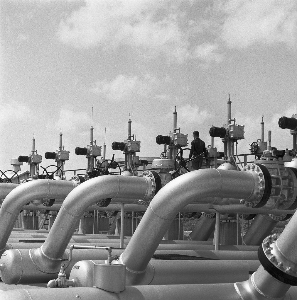 Detail of Pipelines at Texaco Oil Refinery by Anonymous