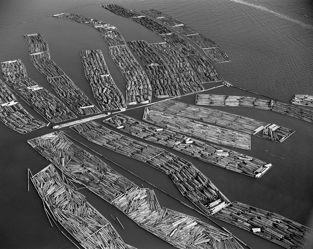 Detail of Rafts of Logs Await the Lumber Mill by Anonymous