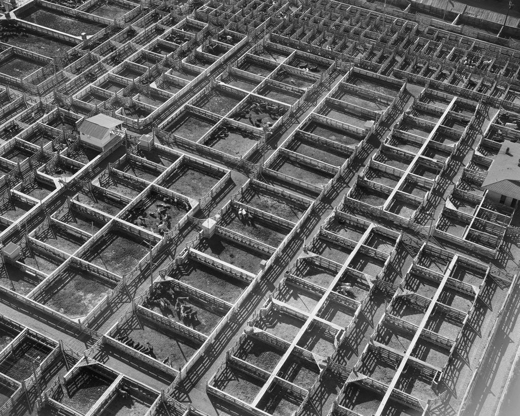 Detail of Fort Worth Stockyard by Anonymous